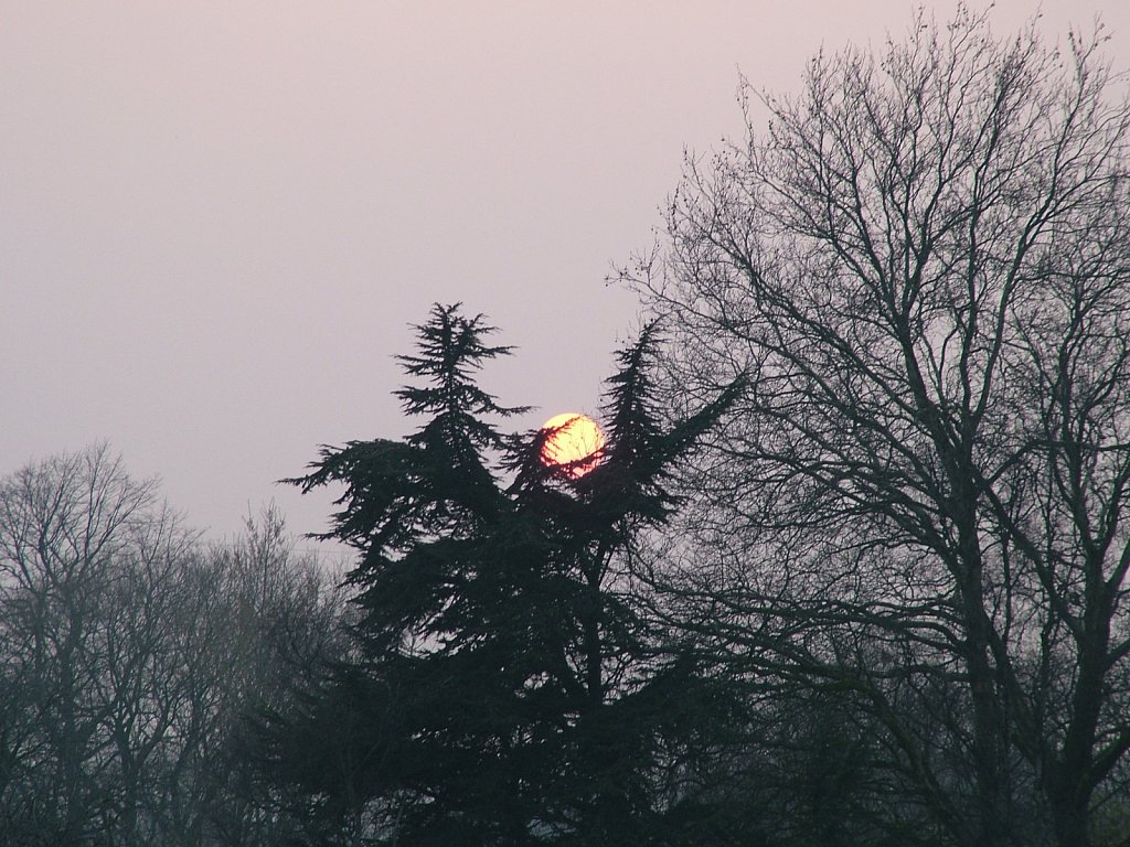 Winter-Sun-Stapenhill.JPG