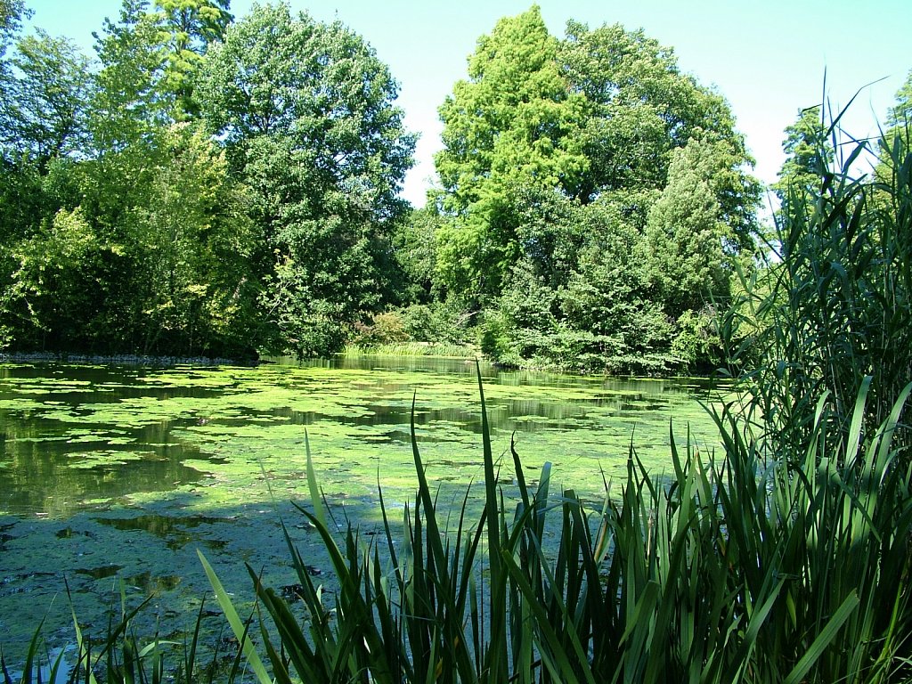 Lake-at-Kew.JPG